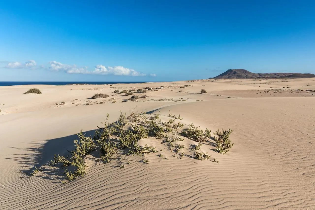Home2Book Blue Atlantic Design Apartment Corralejo