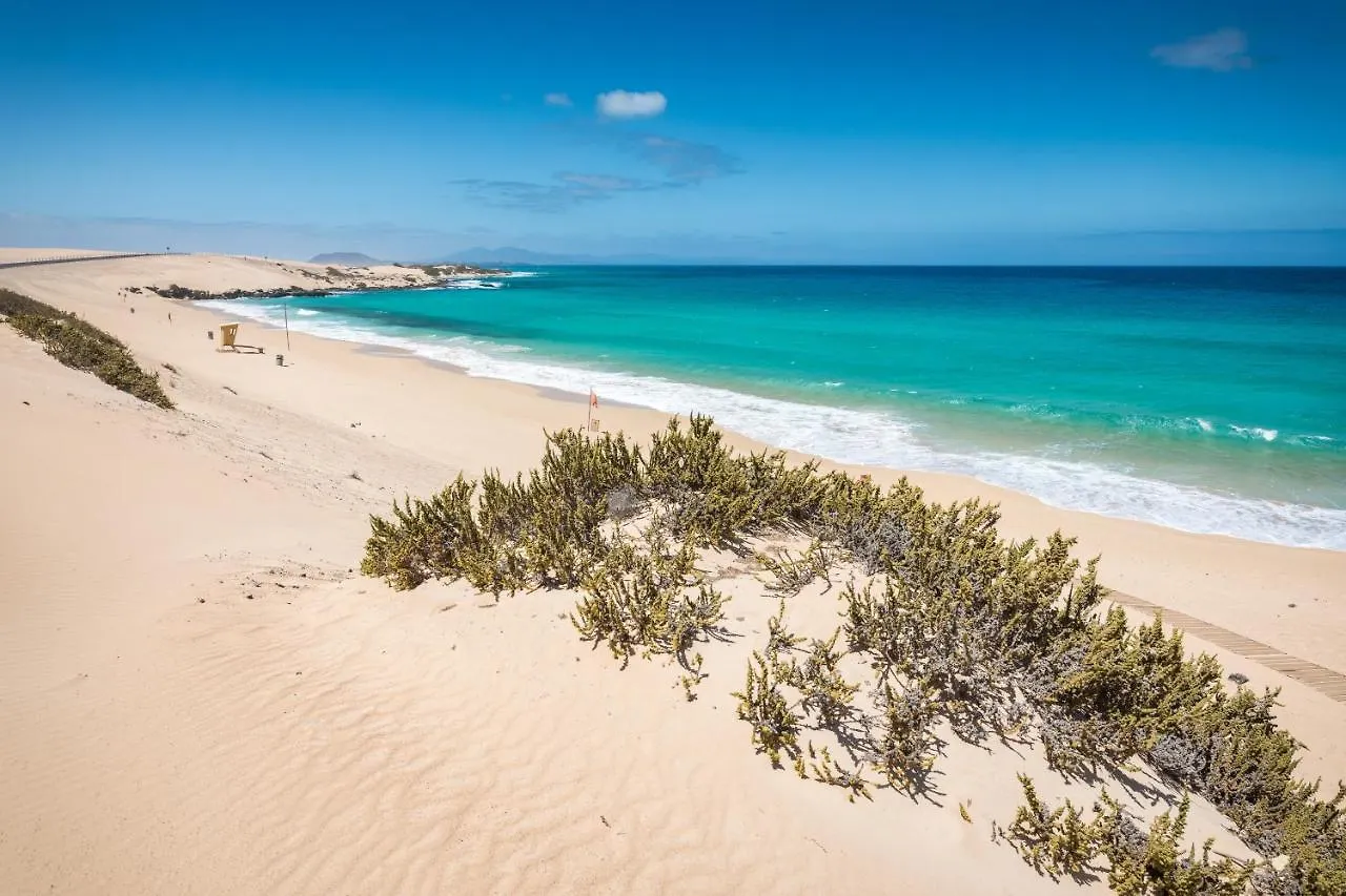 Home2Book Blue Atlantic Design Apartment Corralejo