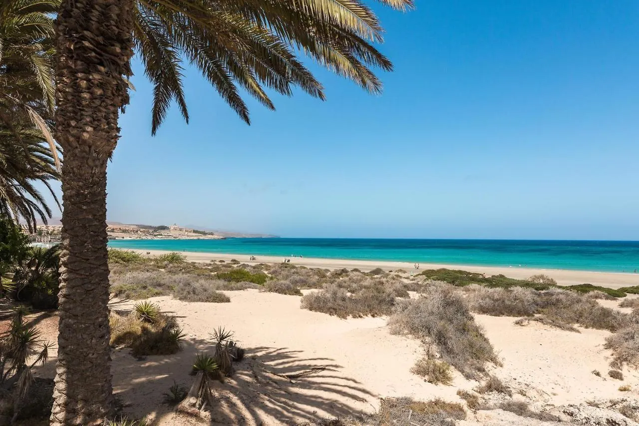 Home2Book Blue Atlantic Design Apartment Corralejo